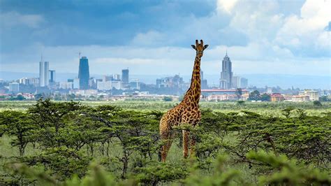 Magical Kenya: The Land of Unique Flora and Fauna